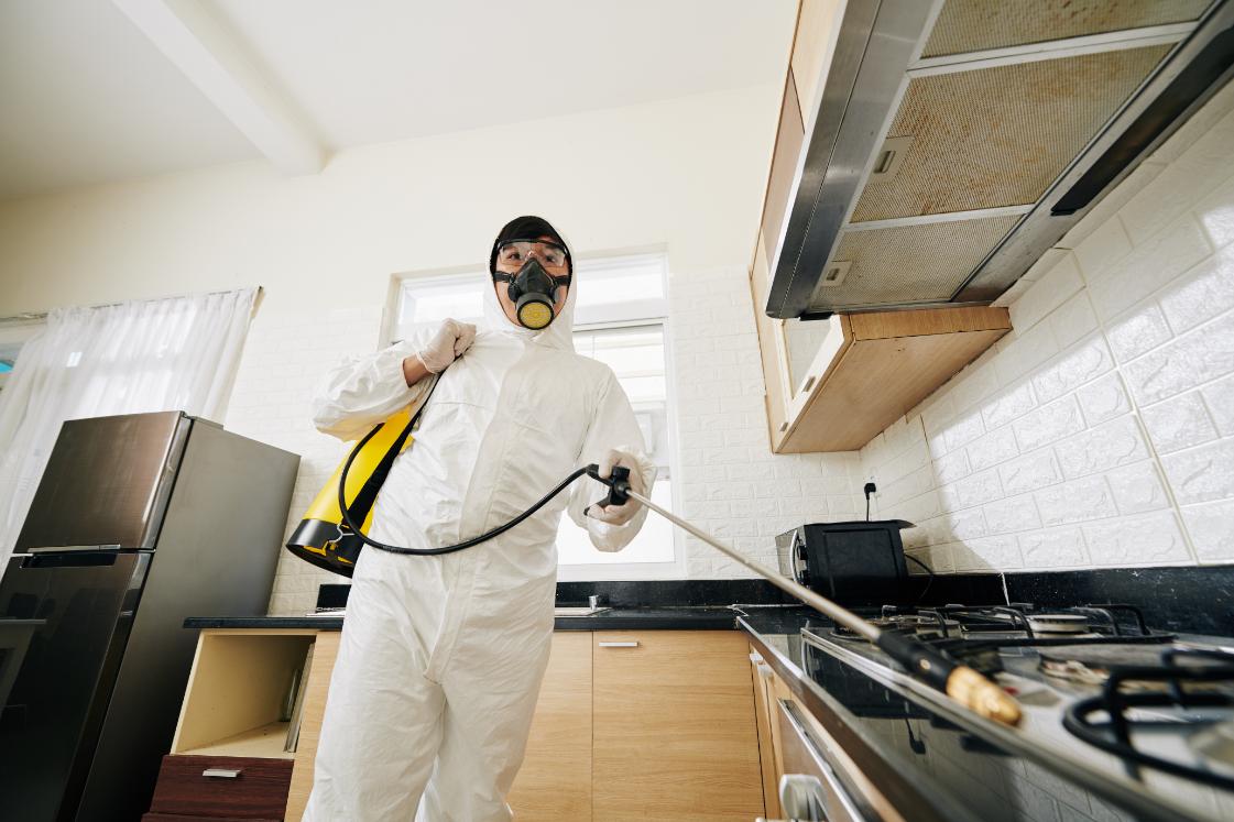 Professional pest control technician spraying treatment