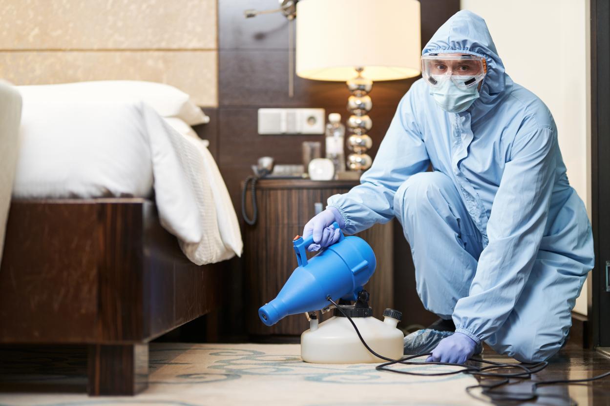 Professional bed bug treatment service
